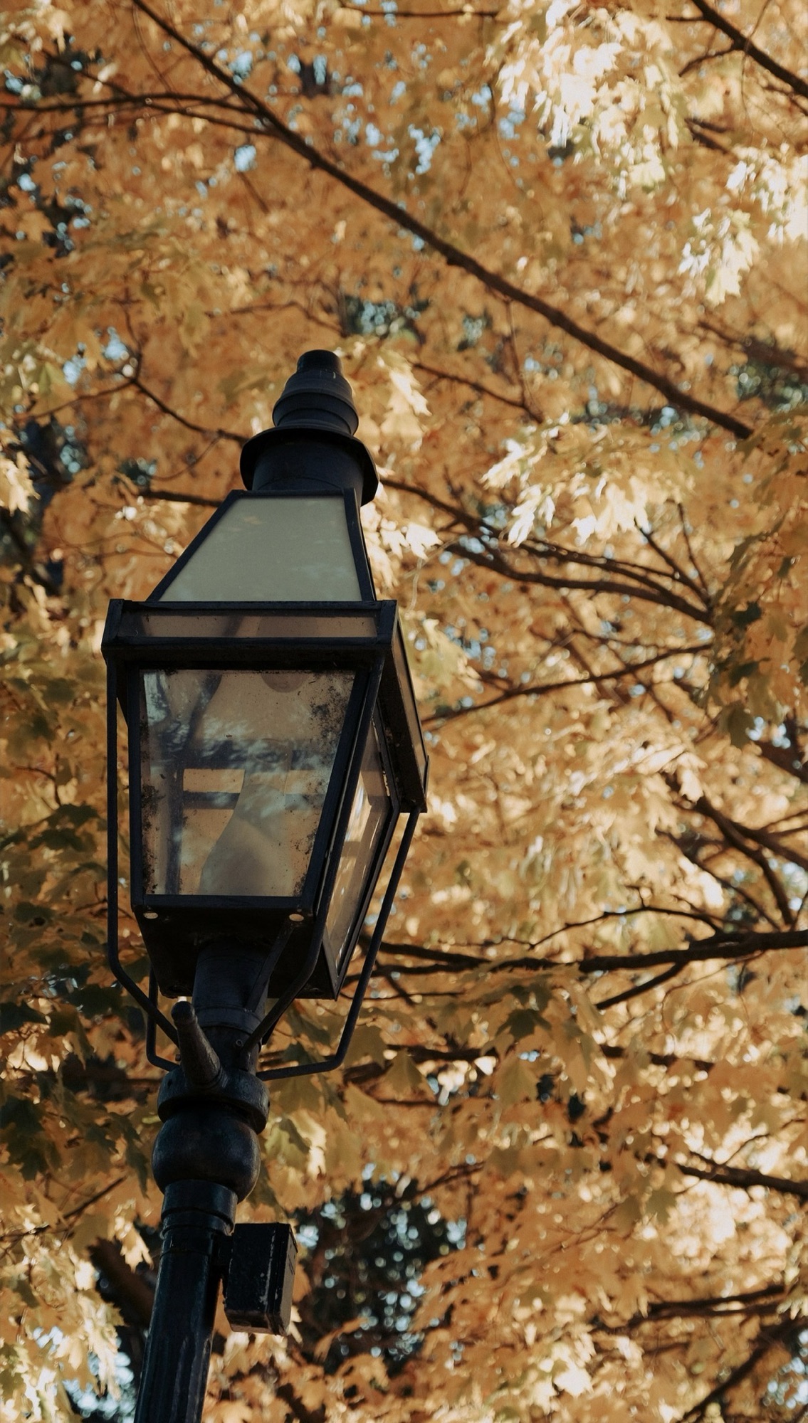 6 Hocus Pocus Filming Locations to Visit in Salem, Massachusetts